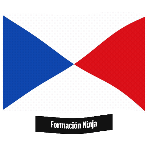 Castilla-La Mancha Flag Sticker by Formación Ninja
