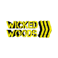Skate Skatehalle Sticker by wickedwoods