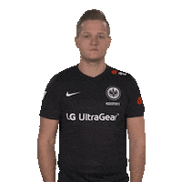 Proud Eintracht Frankfurt Sticker by Bundesliga