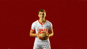 choletbasket sport basketball basket cb GIF