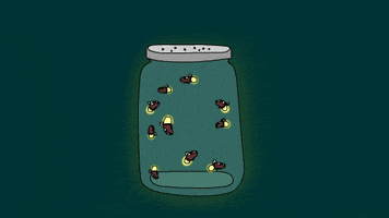 fireflies GIF by CsaK