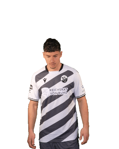 3Liga Wirechtanders Sticker by SV Sandhausen