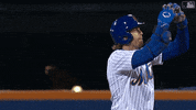 Excited Lets Go GIF by MLB