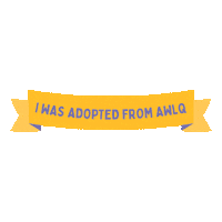 awlqld adopt dont shop awl adopted dog adopted cat Sticker