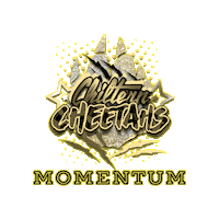 Cheerleading Momentum Sticker by Chiltern Cheetahs