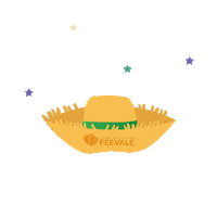 Festa Junina Arraial Sticker by Universidade Feevale