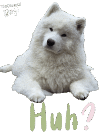 Sorry Pardon Sticker