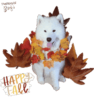 Happy Fall Sticker