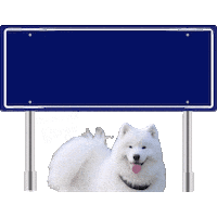 Den Haag Holland Sticker