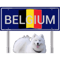 Europe Belgium Sticker