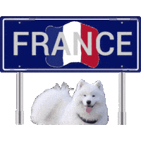 France Paris Sticker