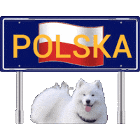 Europe Poland Sticker