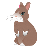 Heart Love Sticker by Bunny Lovers