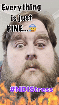 Ndis GIF by Ability Links