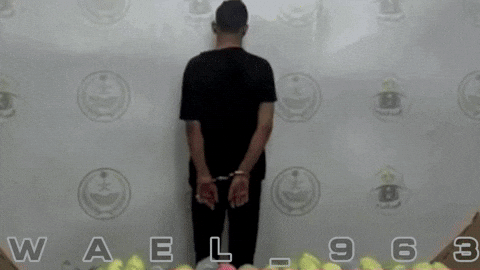 Saudi Wael GIF