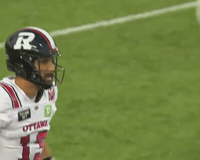 Angry Cfl GIF