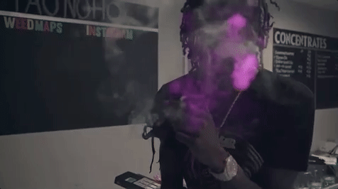 wshh GIF by Worldstar Hip Hop