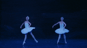 Swanlake GIF by English National Ballet