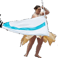 Flag Colorguard Sticker by Spintronix Color Guard