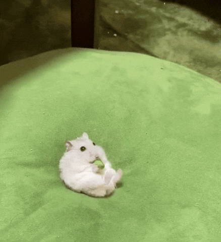 引用:X@riceandokaki