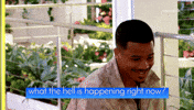 What The Hell Ace GIF by Peacock