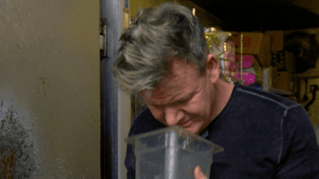 fox GIF by Gordon Ramsay's 24 Hours to Hell and Back
