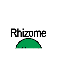 Rhizome Sticker by Digital Counsel