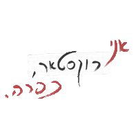 Typography Calligraphy Sticker by SionaraVideo