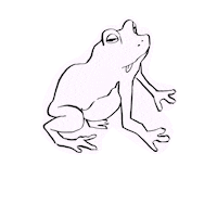 Frog Sticker
