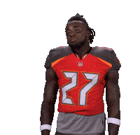 Tampa Bay Buccaneers Sticker Sticker by NFL