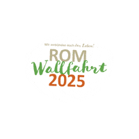 Bistumswallfahrt2025 Sticker by Bistum Münster