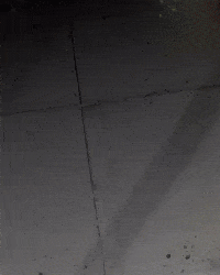 Vasco Da Gama GIF