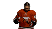 Ice Hockey Sticker by Carolina Hurricanes