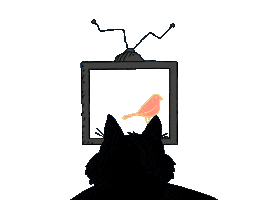 Bored Cat Sticker