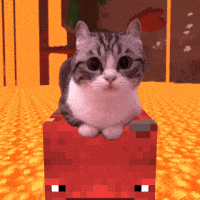 Strider Komaru GIF