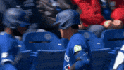 High Five Home Run GIF by Toronto Blue Jays