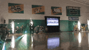 GIF by Siena College
