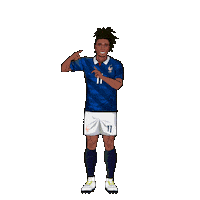 France Football Sticker by Panini America