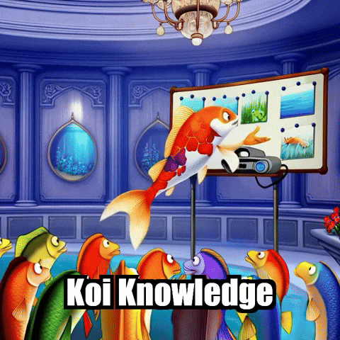 Higher Education Presentation GIF by TheConfishius