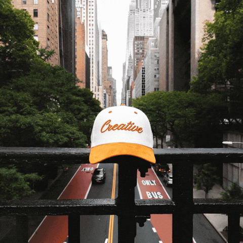 Head Hat GIF by VeeFriends