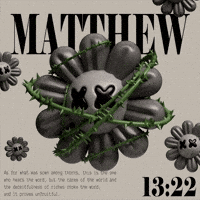 Matthew Sunday GIF by Evan Hilton