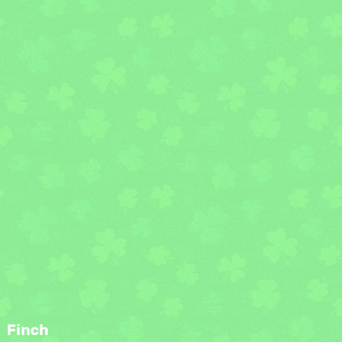 Happy St Patricks Day GIF by Finch Care