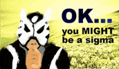 Sigma Ok GIF