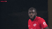 Rbl No GIF by RB Leipzig