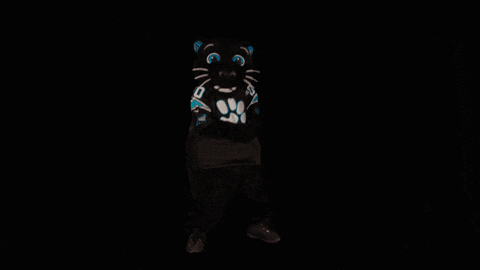 Sir Purr GIF by Carolina Panthers