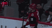 ice hockey hug GIF by NHL