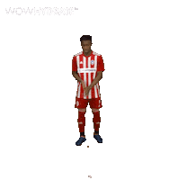 Football Soccer Sticker by Gulf United FC