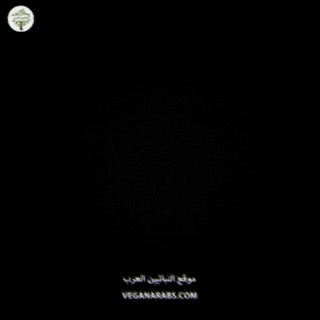 Eid Al-Adha GIF by VeganArabs