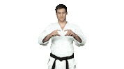Fight Swipe Up Sticker by Czech judo