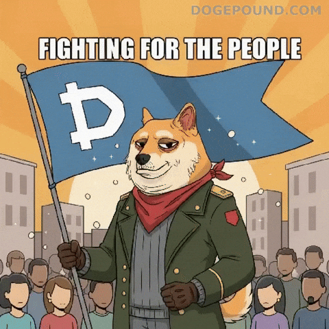 For The People Fighting GIF by Doge Pound